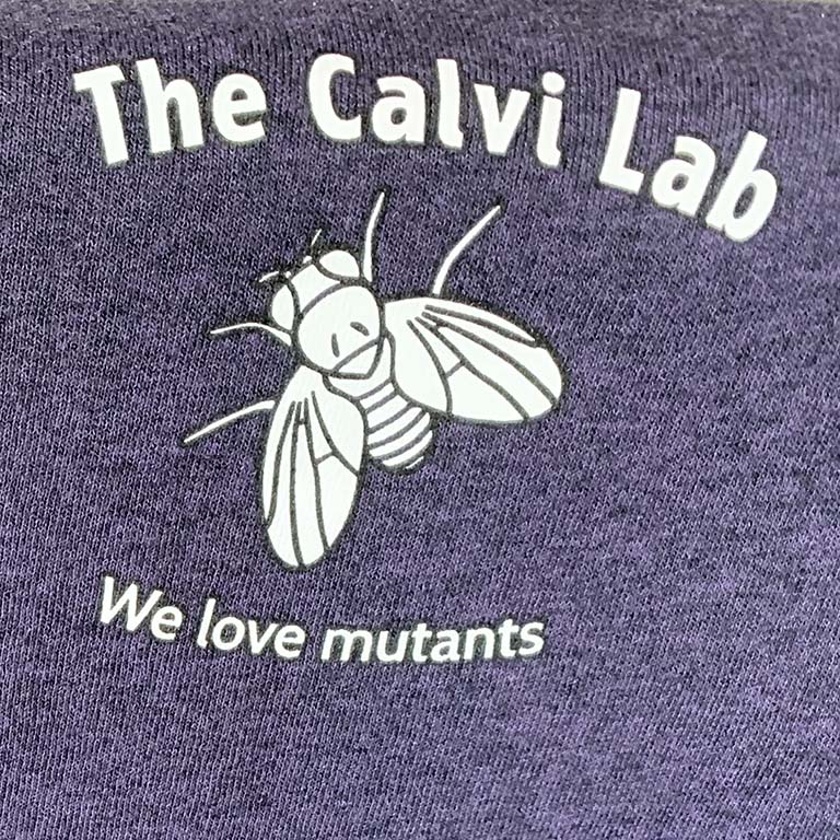 Front of the new Calvi lab t-shirt:  "The Calvi Lab" appears above a drawing of a fruit fly on the upper left side of the shirt. Below the fly image are the words, "We love mutants."